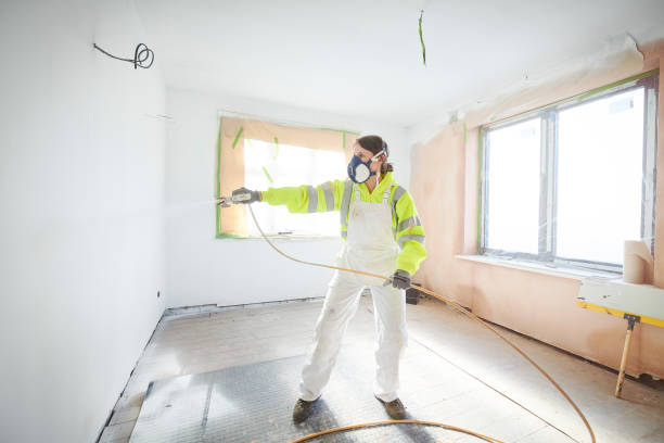 Best Mold Odor Removal Services  in Blackville, SC