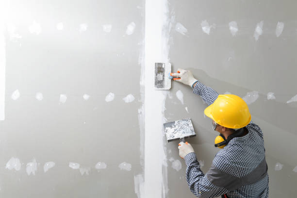 Best Dehumidification Services  in Blackville, SC
