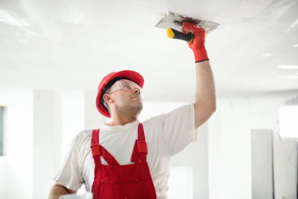 Best Forensic Mold Investigation  in Blackville, SC