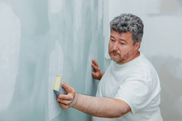 Best Emergency Mold Remediation  in Blackville, SC