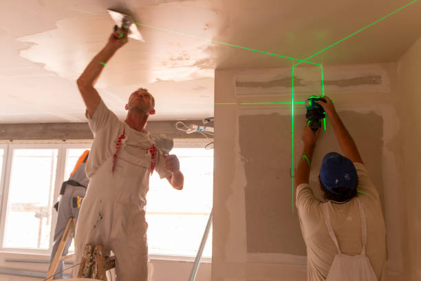Best Mold Documentation for Insurance Claims  in Blackville, SC