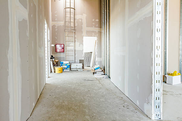Best Mold Removal for HVAC Installations  in Blackville, SC